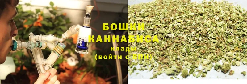 Конопля White Widow  где купить наркоту  Павловск 